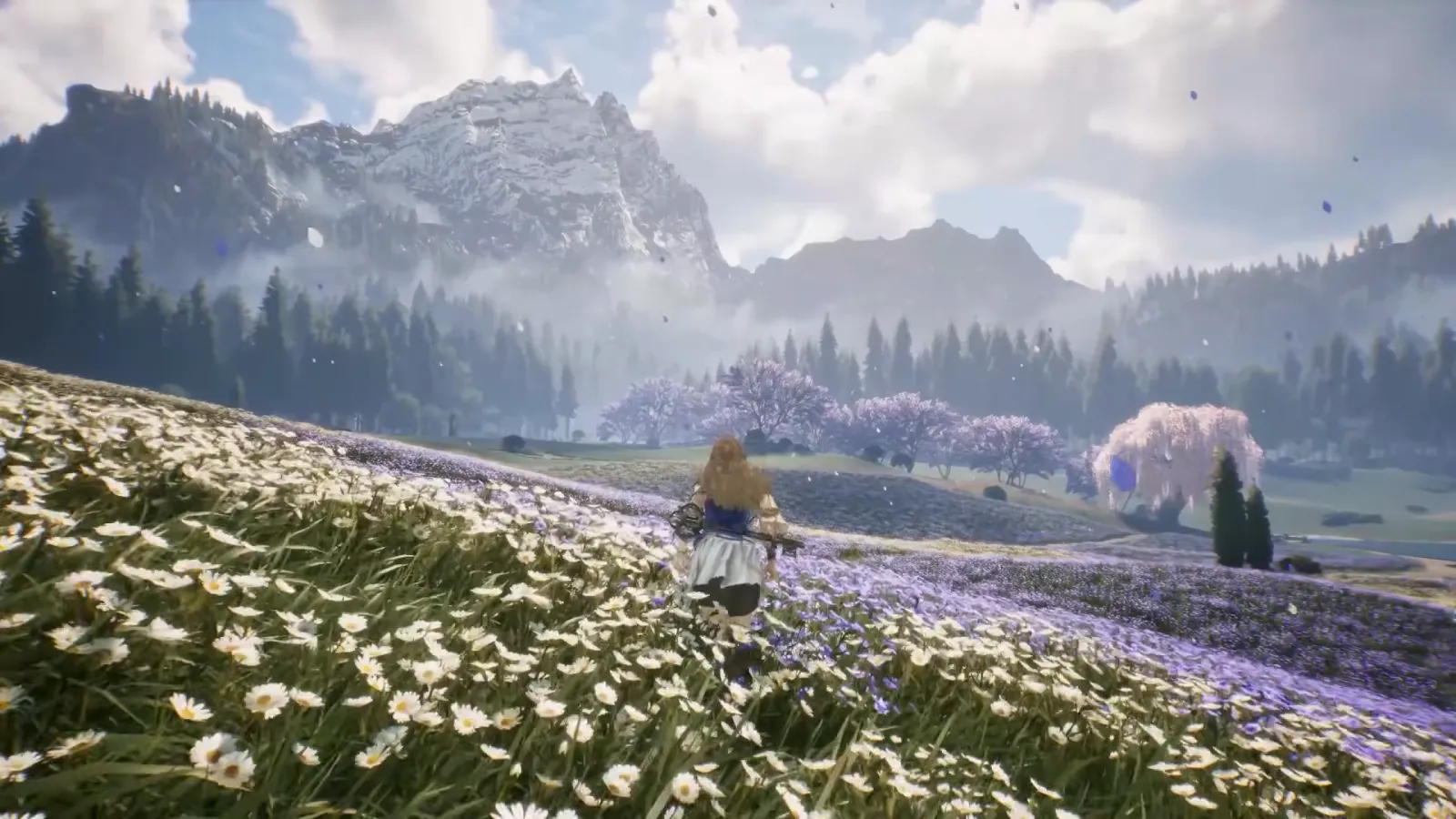 Field of purple flowers below distant mountains